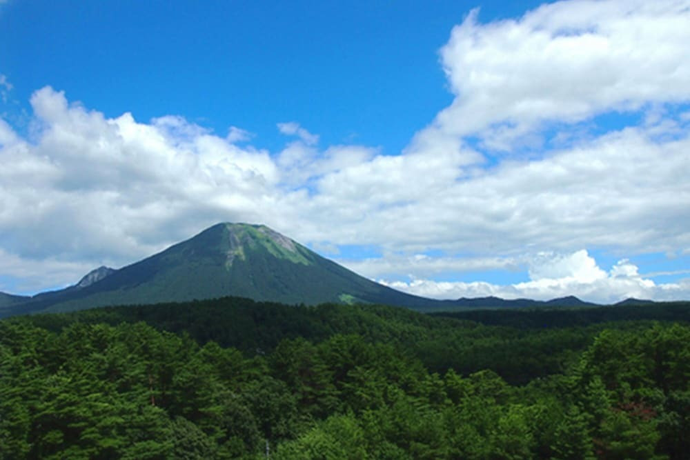 部屋からの景観