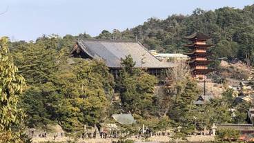 観光スポット / 18