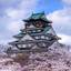 城と桜のコラボが素敵！今年の春は大阪城で桜を楽しみましょう