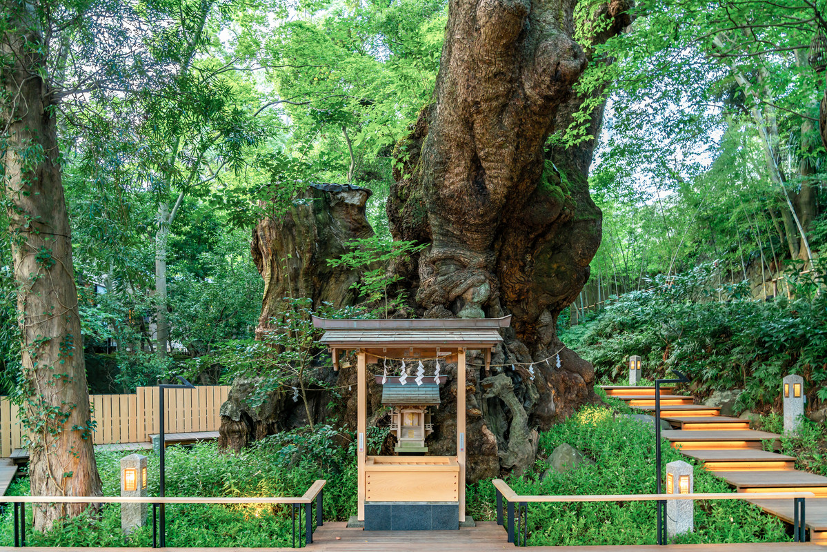 貸切温泉のコンドミニアム グランビュー熱海(カシキリオンセンノコンドミニアム グランビューアタミ) / 3