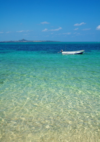 6. Fukugi Terrace (フクギテラス)3429975