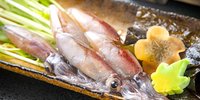 富山で名物ホタルイカが食べられる旅館11選｜料理自慢の宿ならここ！
