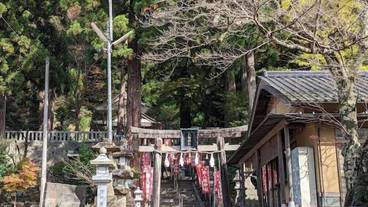 ランド ビュー / 7