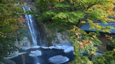 バスルーム / 34