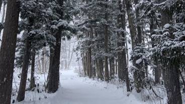 施設からの眺望 / 14