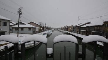 ランド ビュー / 11