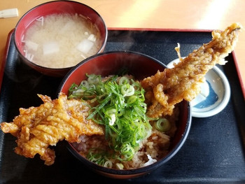 「イルカ」 料理 102014628 穴子丼    900円