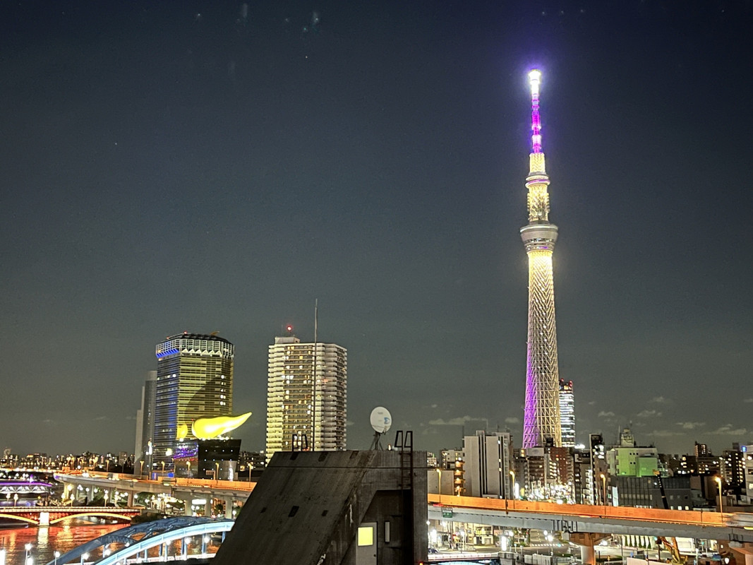 廊下からの景色は素晴らしい