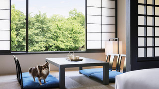 ドッグフレンドリー和洋室 キング