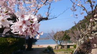 コテージ (102, 105) 禁煙