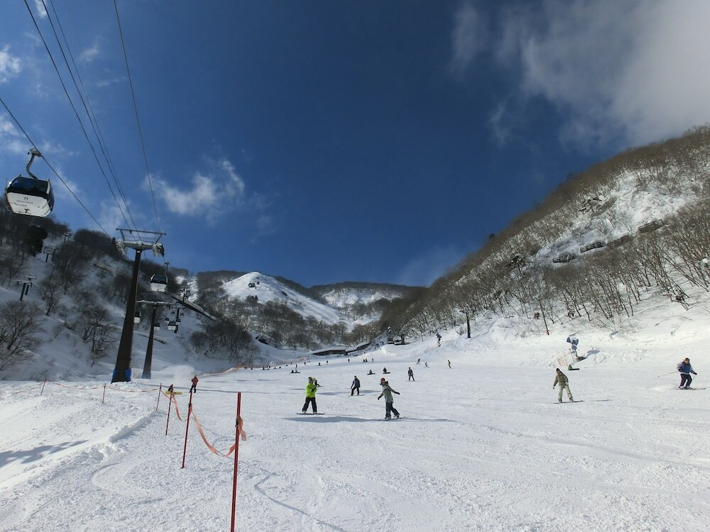 スノー スポーツとスキー