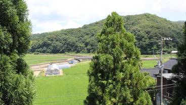 マウンテン ビュー / 9