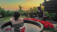 屋久島 コテージ森のフェアリー