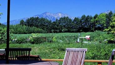 テラス / パティオ / 8