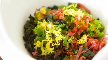 食事・飲み物 / 16