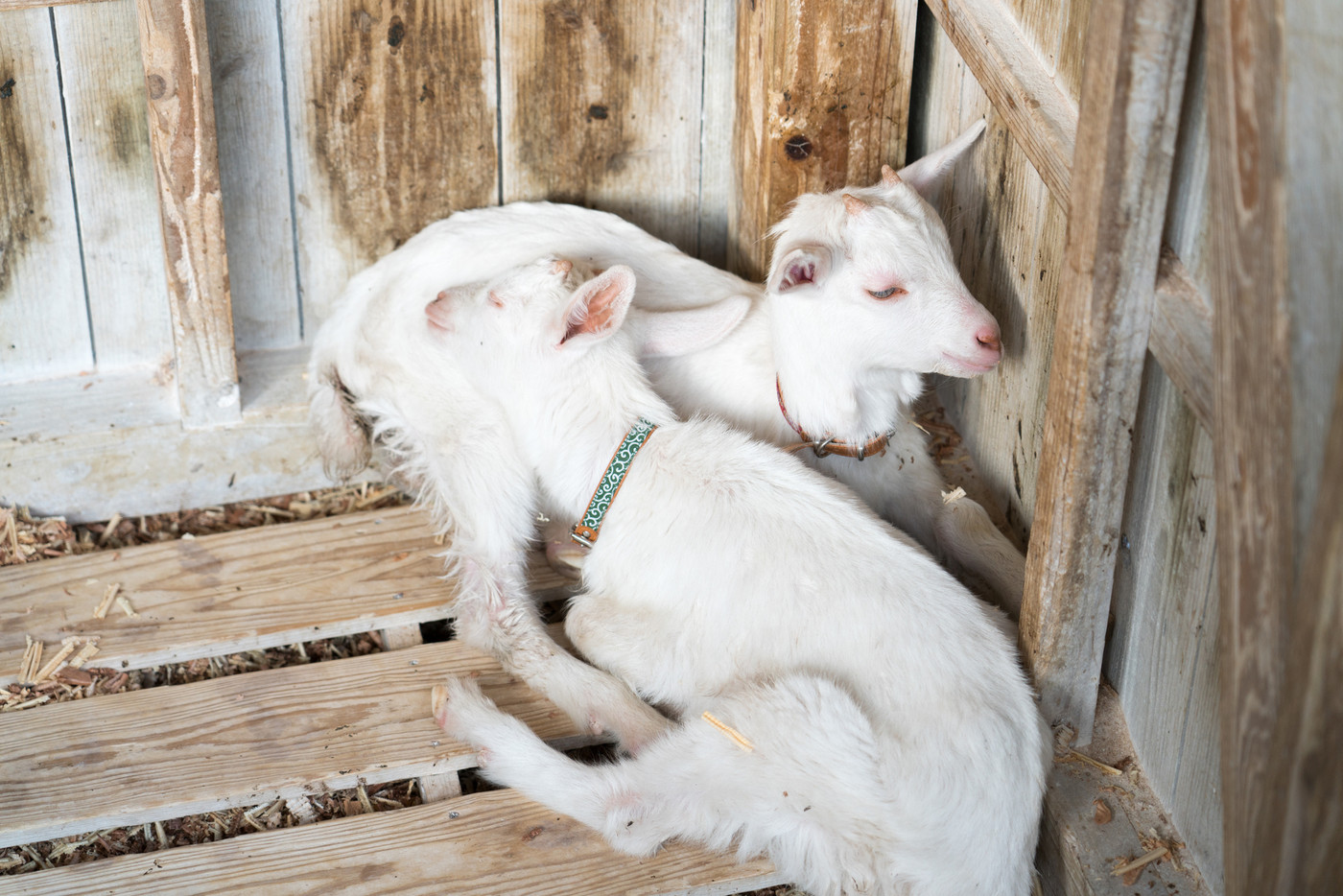 奄美山羊島ホテル