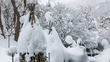 施設からの眺望 / 24
