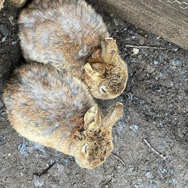 usa_pipiさんの写真 / 3