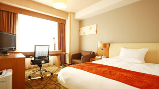 デラックスセミダブル/20平米/ベッド幅140cm 喫煙可