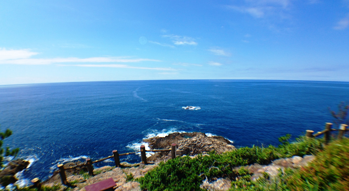 太平洋の雄大な景色を堪能3917471