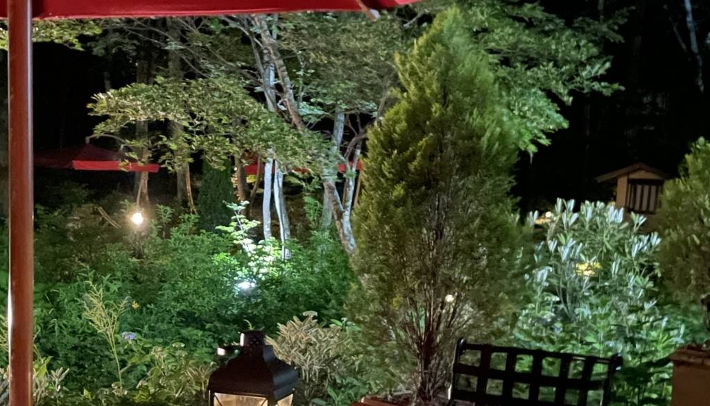 ナイトウォークを楽しんでみて / 2