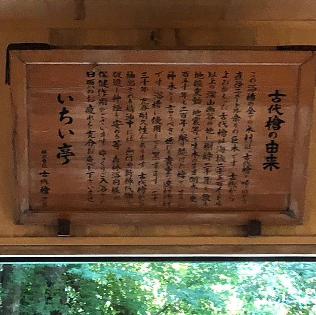 jasmine_mrk72さんの写真 / 2