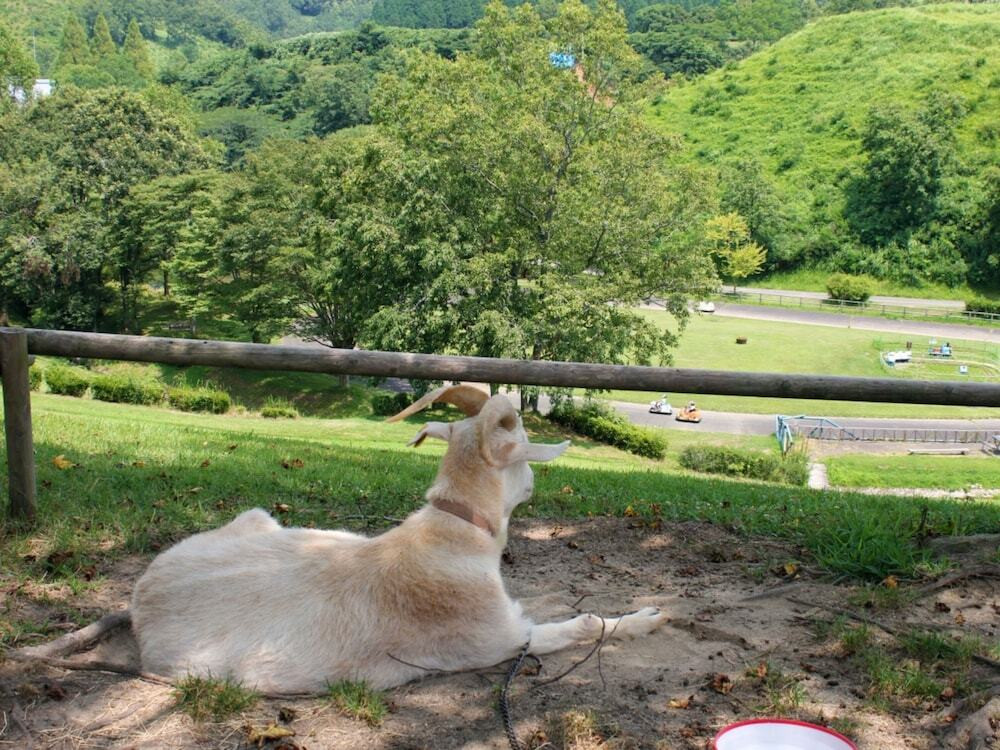 子供用の遊び場 - 屋外