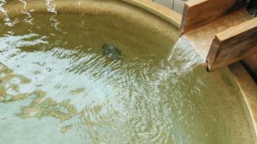 バスルーム / 34