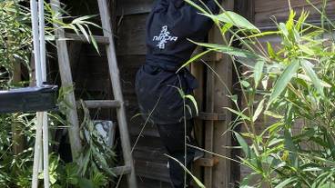 エコツアー / 12