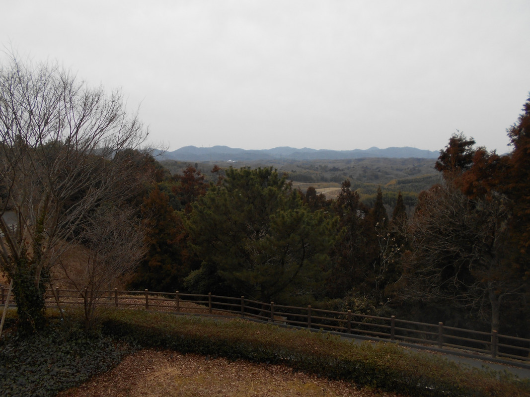 神戸ホテルフルーツフラワー和室からの眺望
