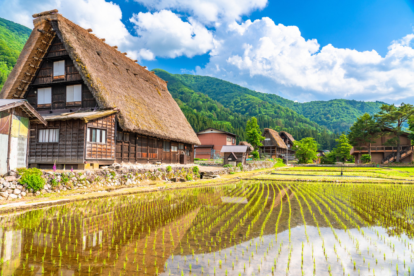 《岐阜県》白川郷合掌造り集落・田植えシーズン