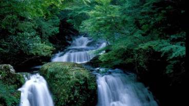 施設の敷地 / 13