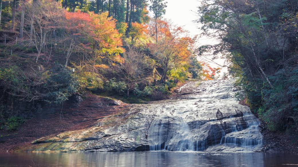 「養老渓谷」を
のんびり散策 / 1