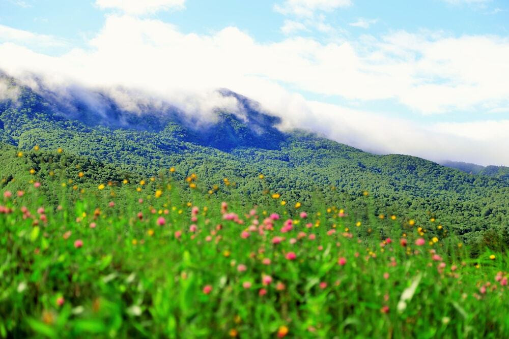 施設からの眺望