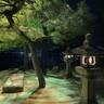 icotto_onatsu0525さんの写真