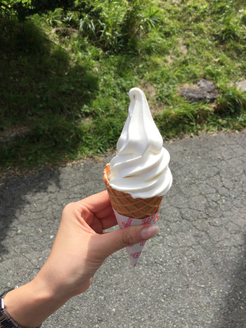 「大観峰茶店」料理 50158 