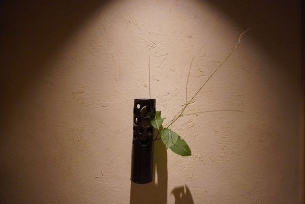 ranunculus___________さんの写真 / 5