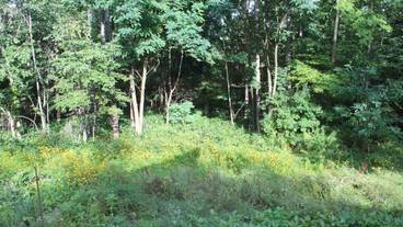 施設からの眺望 / 10