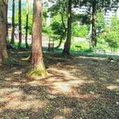 アルミュール（新潟県 ペンション） / 4