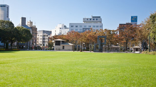 和室7.5畳 (お子様の添い寝不可)