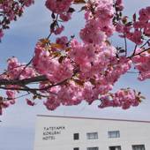 立山山麓温泉 立山国際ホテル（富山県 リゾートホテル） / 4