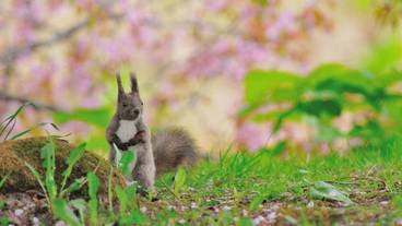 施設の敷地 / 32