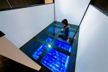 ガラスの上にお布団！？3391272