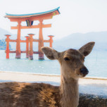 女子ののんびり一人旅in広島。旅のおともにしたいおすすめホテル7選