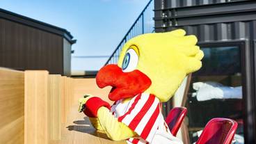 テラス / パティオ / 5