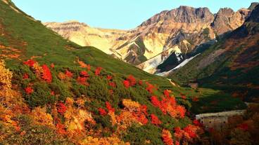 ランド ビュー / 9