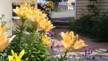 施設からの眺望 / 12