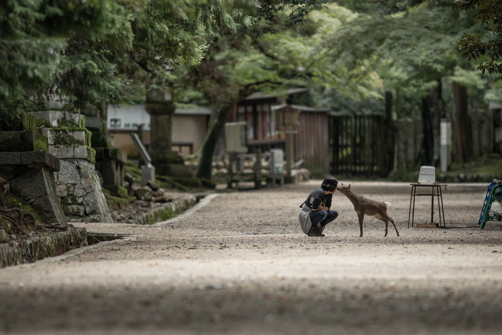 癒しの時間を求めてひとり旅へ出かけよう3712151