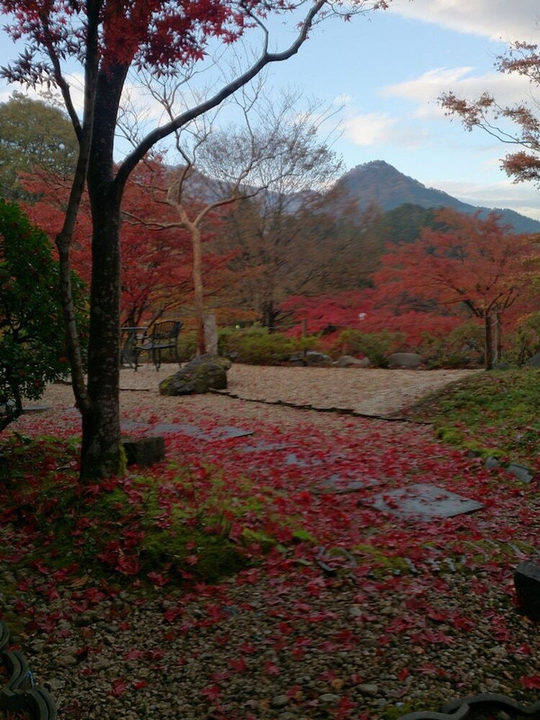 施設の敷地