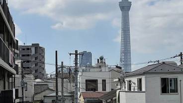 部屋からの景観 / 18